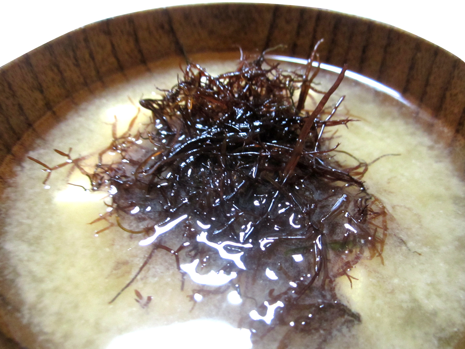 干しふのり（15g） 青森県佐井村漁協 | 青森県佐井村あおい環-aoiwa